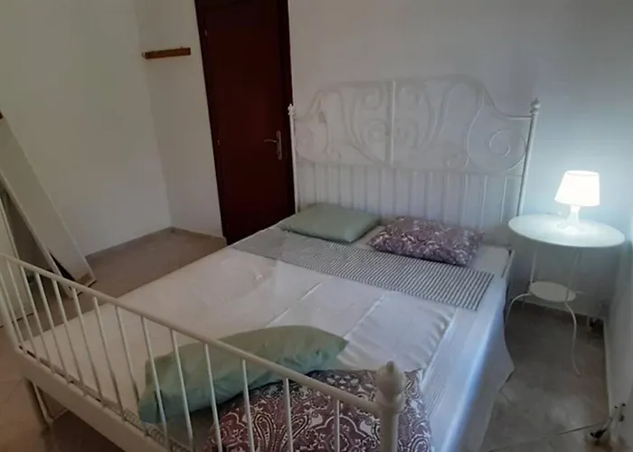 Happy Days 乐托卡亚